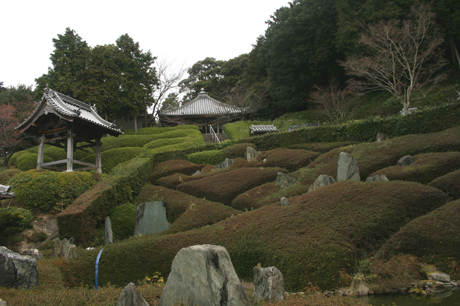 和泉西国　第３１番　躑躅山林昌寺（真言宗御室派）_a0045381_21543711.jpg