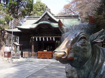 72. 大学通りと谷保天満宮 ～谷保天満宮編_c0105785_10543112.jpg