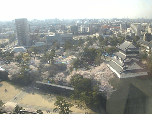 a0096787_23195035.gif