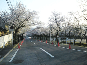 a0096787_23262135.gif