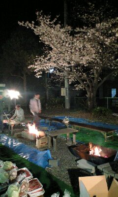 桜の木の下で_b0090890_19225822.jpg