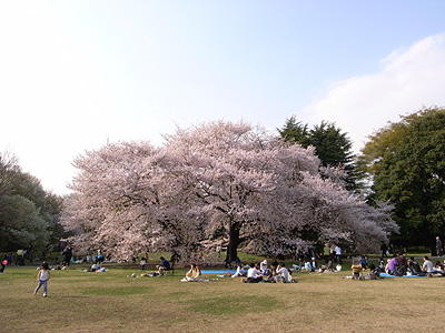 f0024090_22585888.jpg