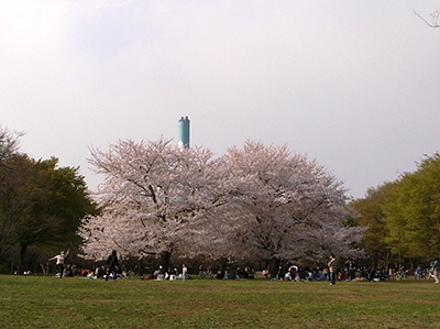 f0024090_239395.jpg