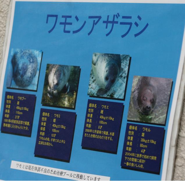 ルルちゃん 気まぐれｚｏｏ