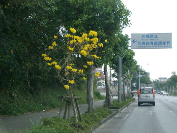 c0036203_21325219.jpg