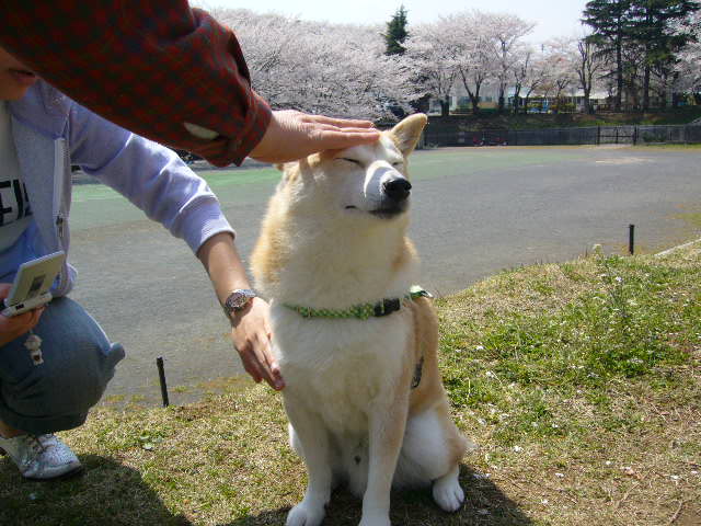 e0131506_1541639.jpg