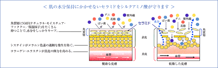 AmourBeaute アムールボーテ_c0152507_4444820.gif