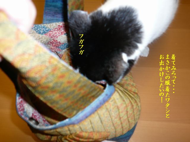 e0094407_16424932.jpg