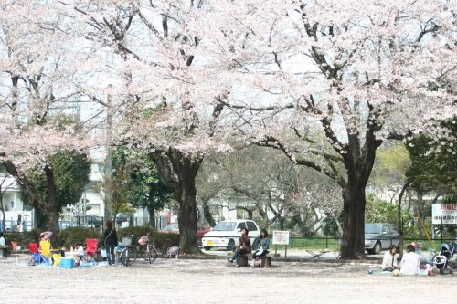 暖かい公園～♪_e0016009_1951211.jpg