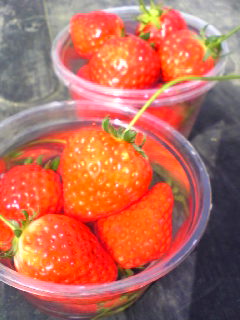 c0148010_21443133.jpg
