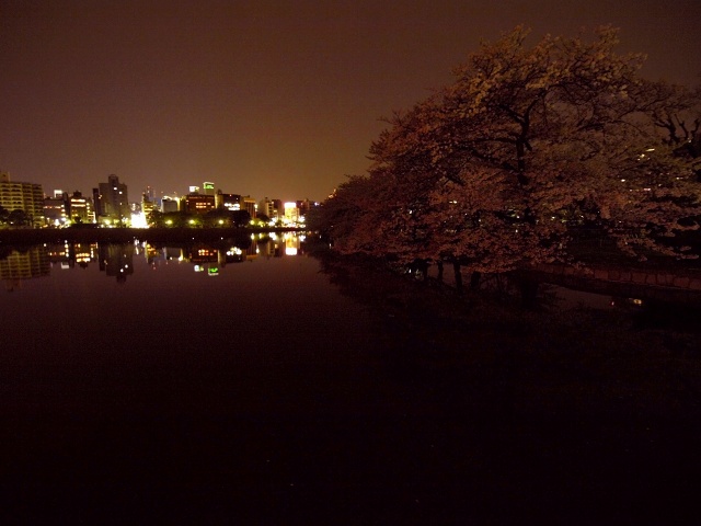 c0071611_1026037.jpg