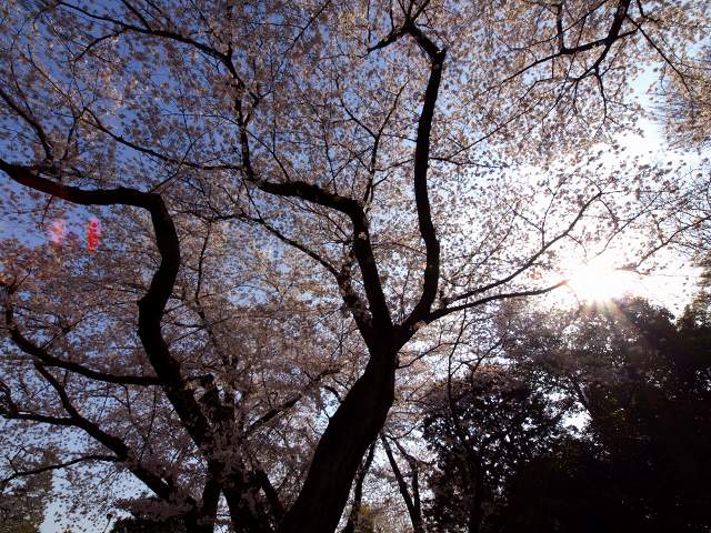 c0071611_10284620.jpg