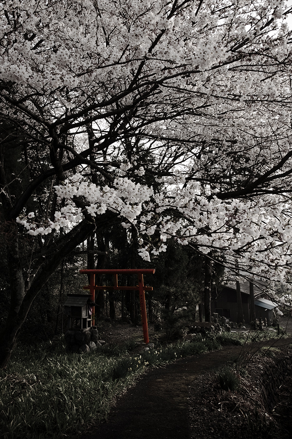 c0115616_57353.jpg