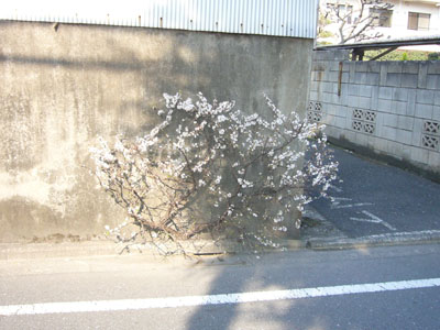 すごくないですか!?_f0140817_21542118.jpg