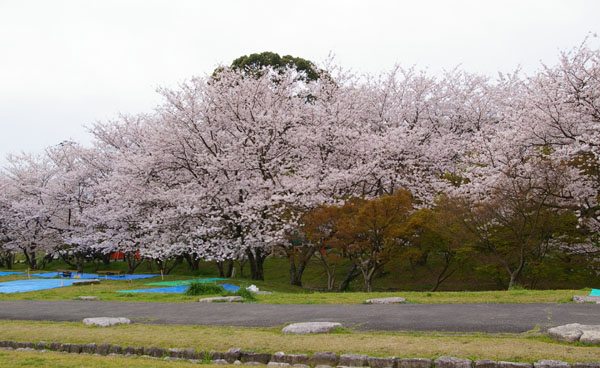c0012819_11181875.jpg