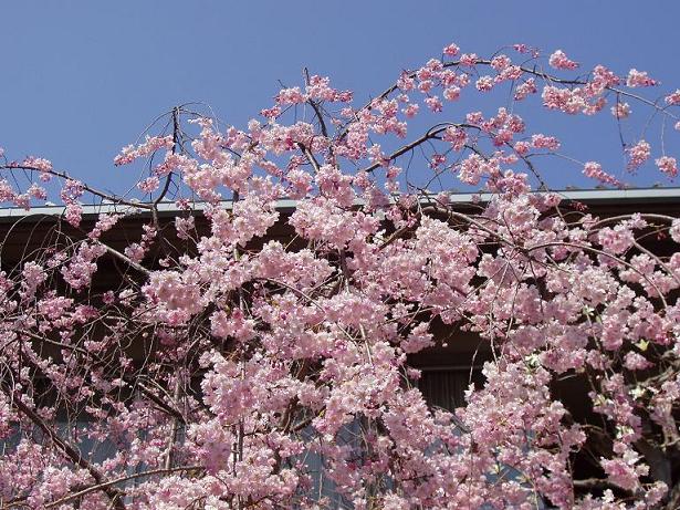 b0132924_2027135.jpg