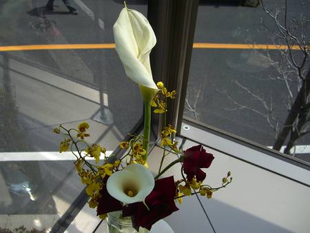d0065324_9573160.jpg