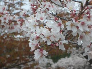 f0010925_19321072.jpg