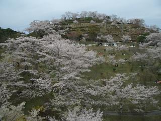 f0010925_2072652.jpg