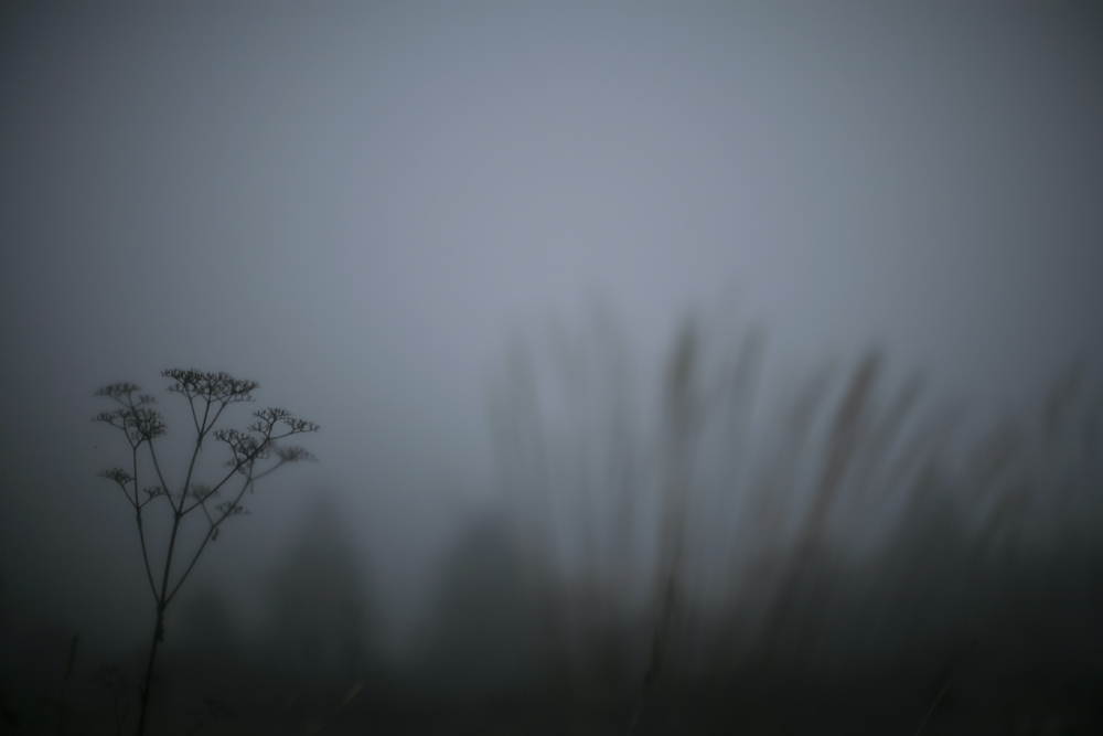 d0004832_19165513.jpg