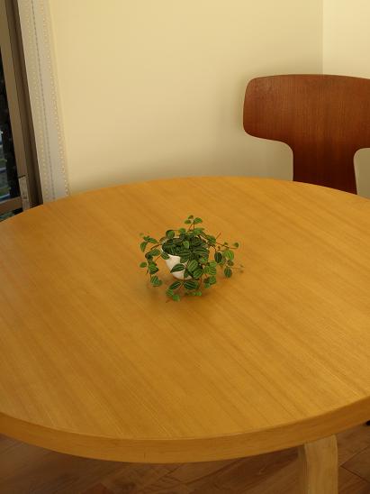 f0005334_86823.jpg