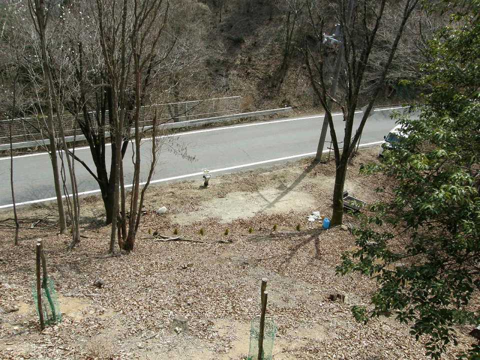 f0090444_20103834.jpg