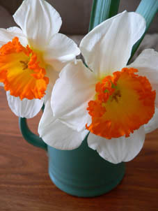 c0144847_30097.jpg