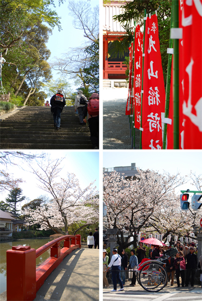 鎌倉の桜・その2_a0003650_22425542.jpg