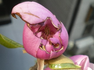 c0118352_10391071.jpg