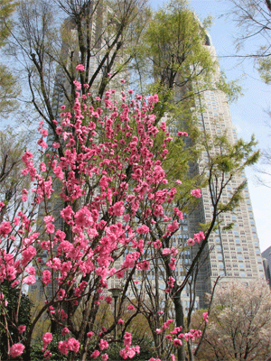 a0044453_15122861.gif