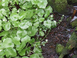 f0056153_13455385.jpg