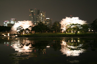 a0034054_23583953.jpg