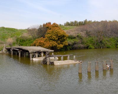 e0035757_0405632.jpg
