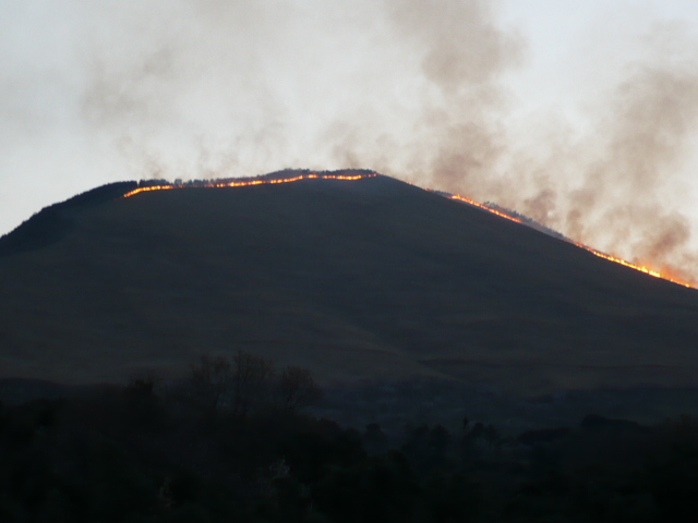 f0050468_52933100.jpg