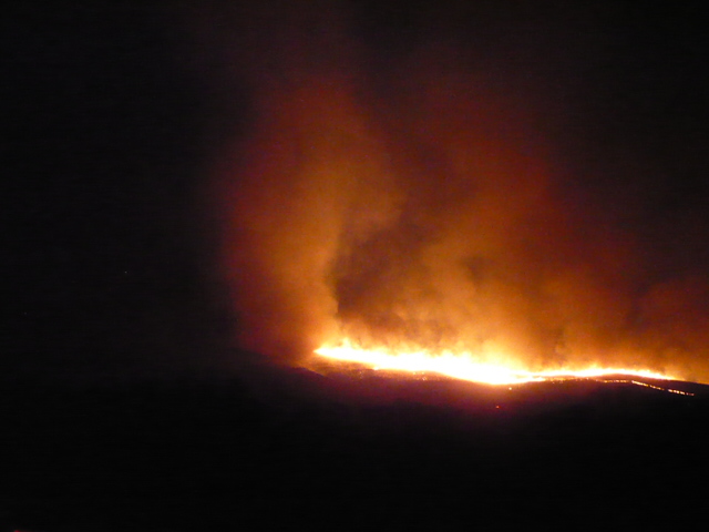f0050468_530295.jpg