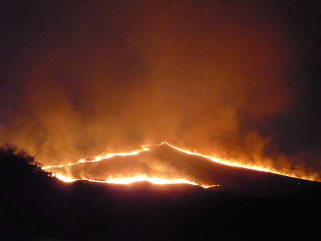 f0050468_5305665.jpg