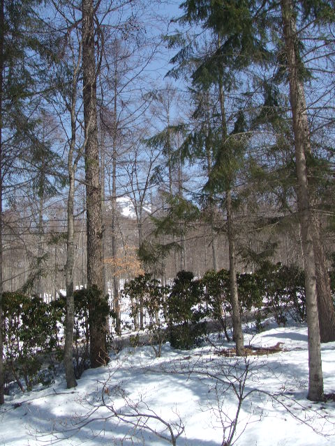 f0144970_1037124.jpg