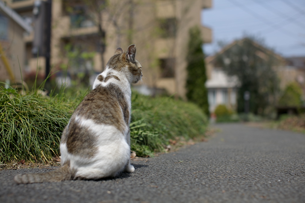 人の愚かさと反省？_f0011273_16275883.jpg