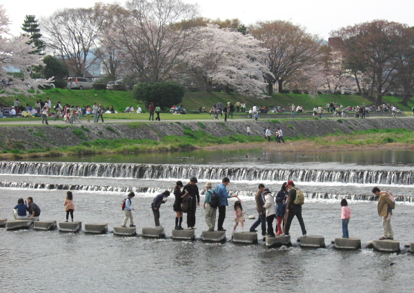 どこも渋滞！_c0036080_23293750.jpg