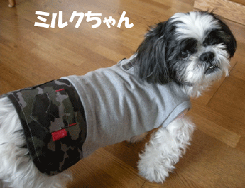 e0066883_0192183.gif