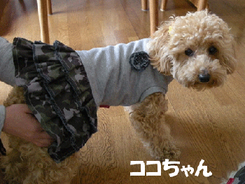 e0066883_0194028.gif