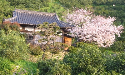 ４月５日「釣り」_f0003283_7314559.jpg