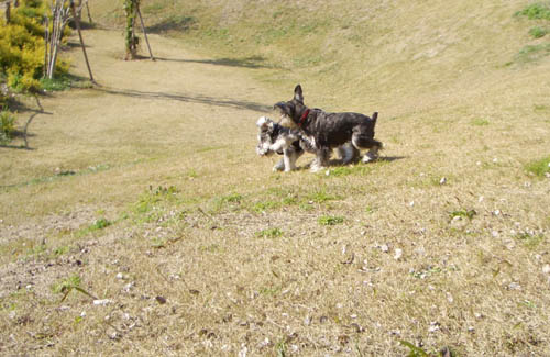 d0122187_0649.jpg