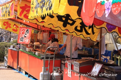 奈良・京都桜旅行『京都 八坂神社編』_d0148187_03637.jpg