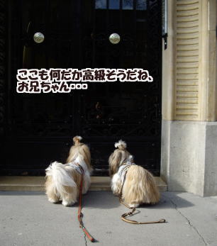 c0090198_153231.jpg