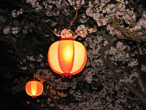 夜桜_c0037200_9524374.jpg