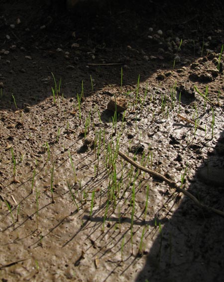 e0064400_2135278.jpg