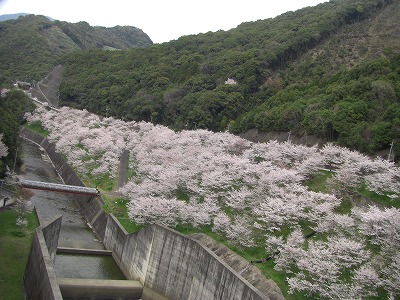 c0125501_96115.jpg