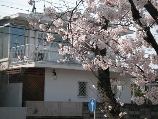 e0011102_20133436.jpg