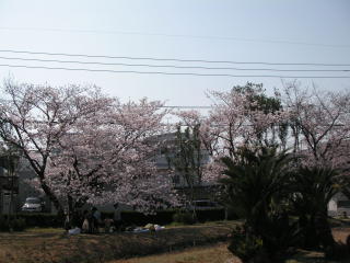 e0011102_20284082.jpg